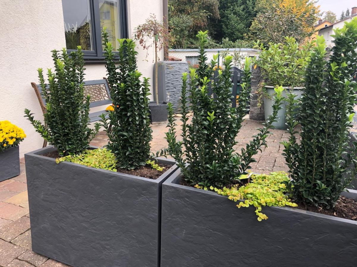 Schoene Ferienwohnung Nahe Heidelberg Bammental Exterior foto